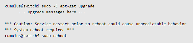 Command to Reboot the Switch