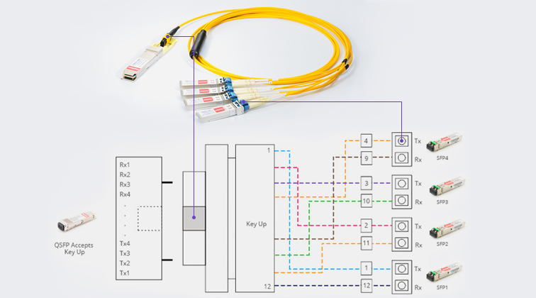 MTP=8LC patch cords