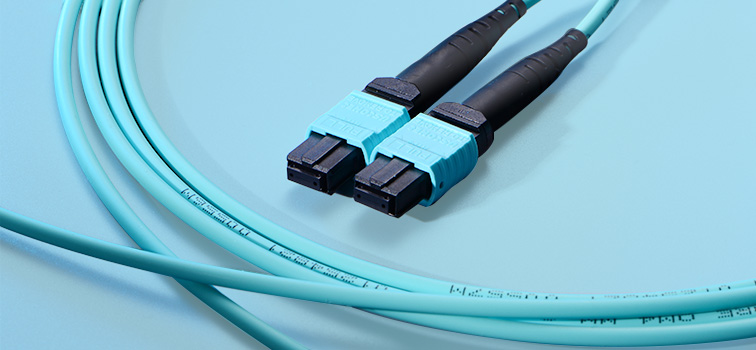 12-fiber MTP trunk cable