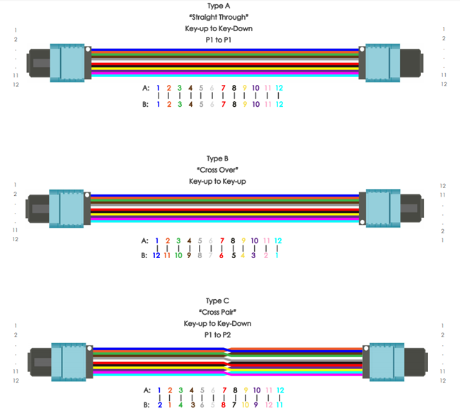 12-Fiber MTP Trunk Cable